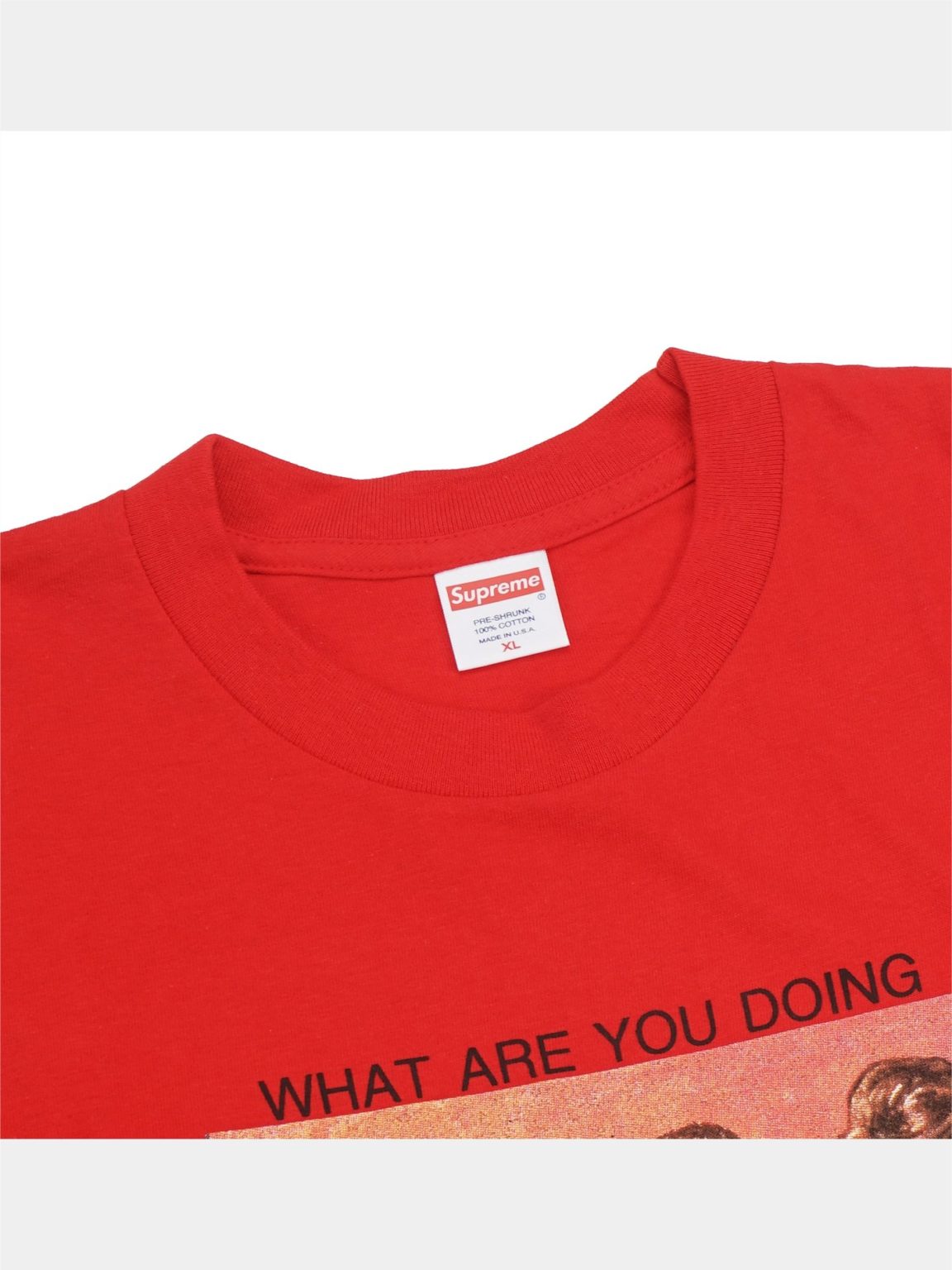 SUPREME Orgy Tee Red